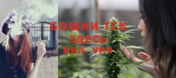 гашик Михайлов
