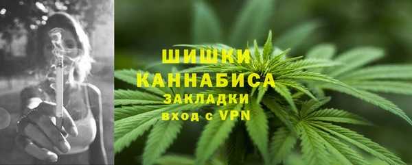 гашик Михайлов
