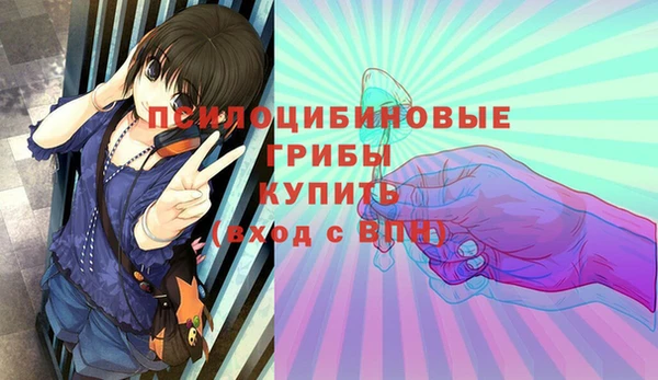 ГАЛЛЮЦИНОГЕННЫЕ ГРИБЫ Михайловск