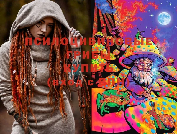 гашик Михайлов