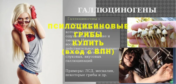 гашик Михайлов