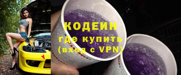 гашик Михайлов