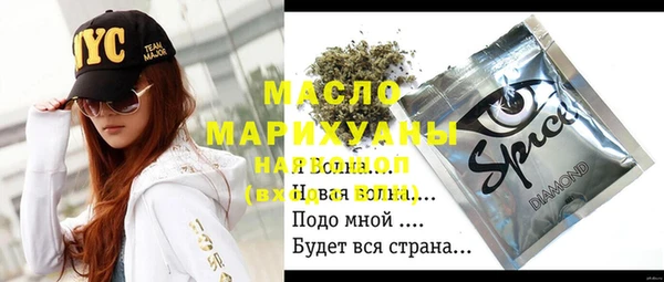 гашик Михайлов